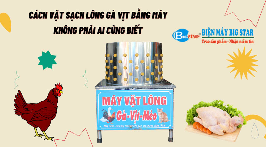 cach-vat-sach-long-ga-vit-bang-may-khong-phai-ai-cung-biet