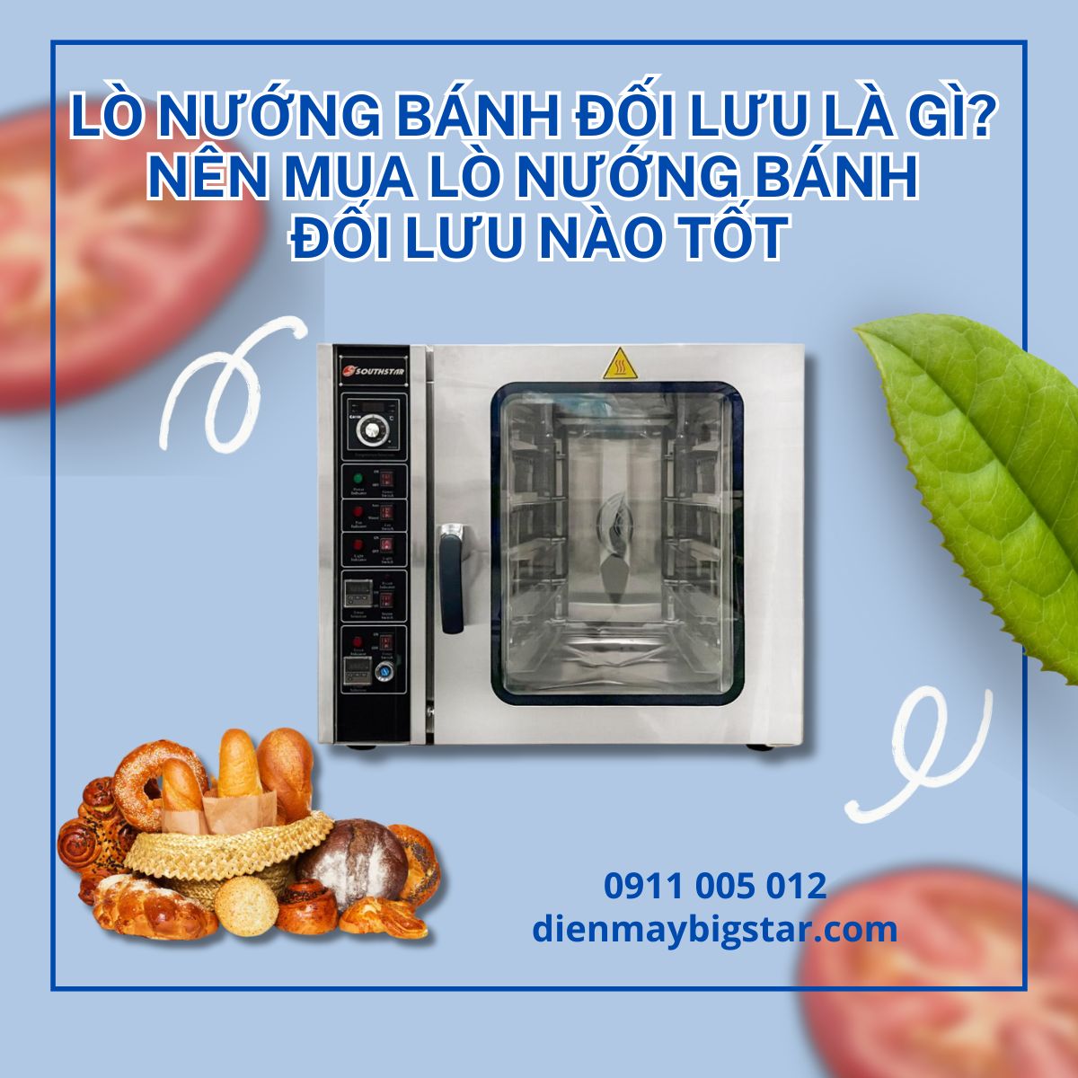 lò nướng bánh đối lưu