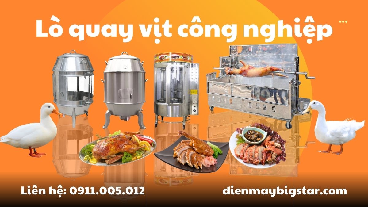 Lò quay vịt công nghiệp