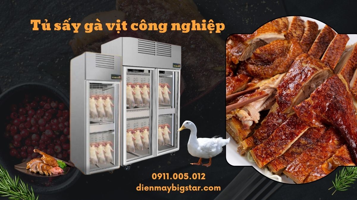 Tủ sấy gà vịt công nghiệp